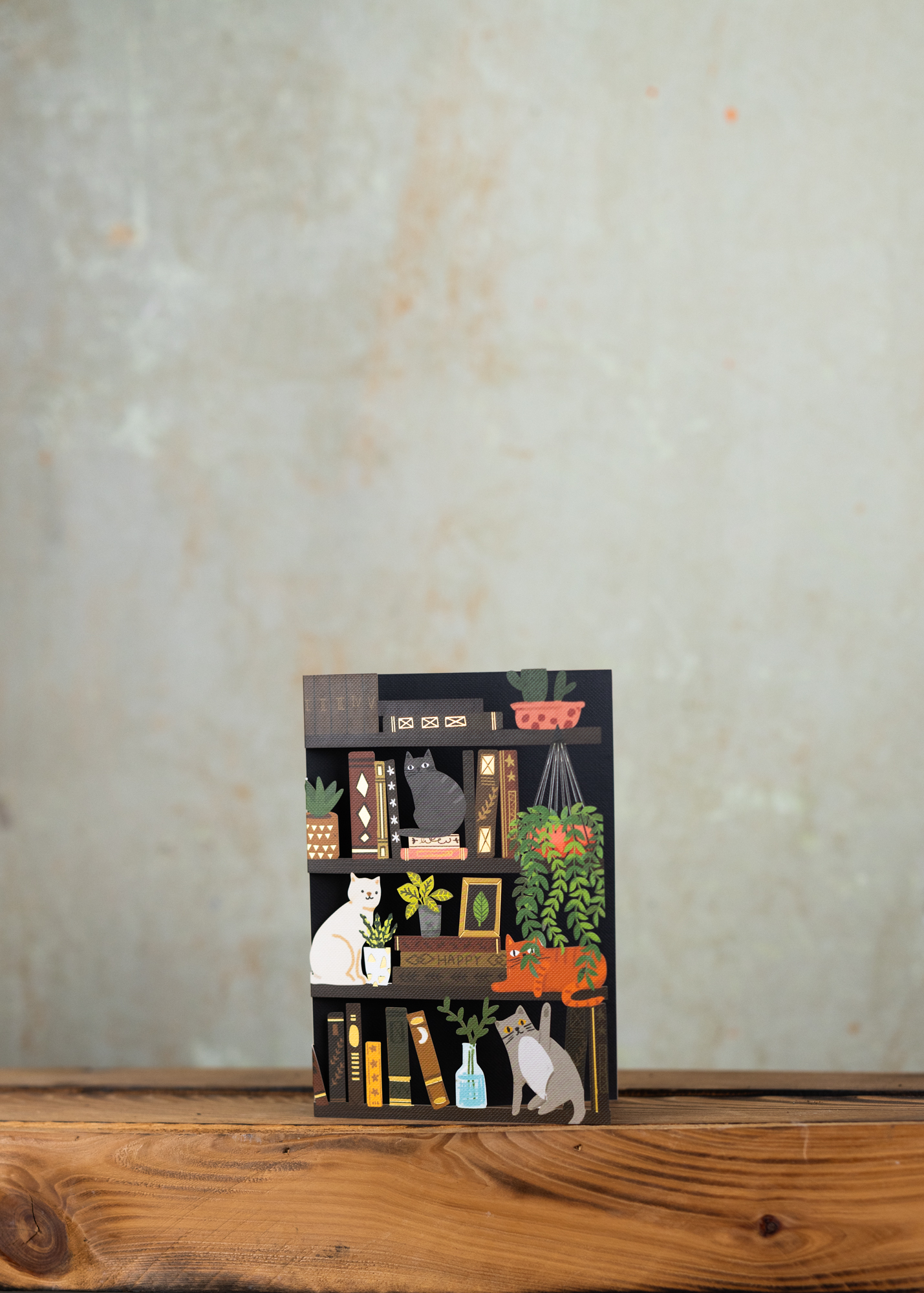 Grußkarte Büchenregale Katzen 