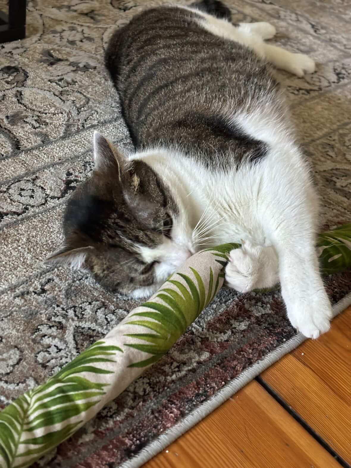 Rollissimo jungle