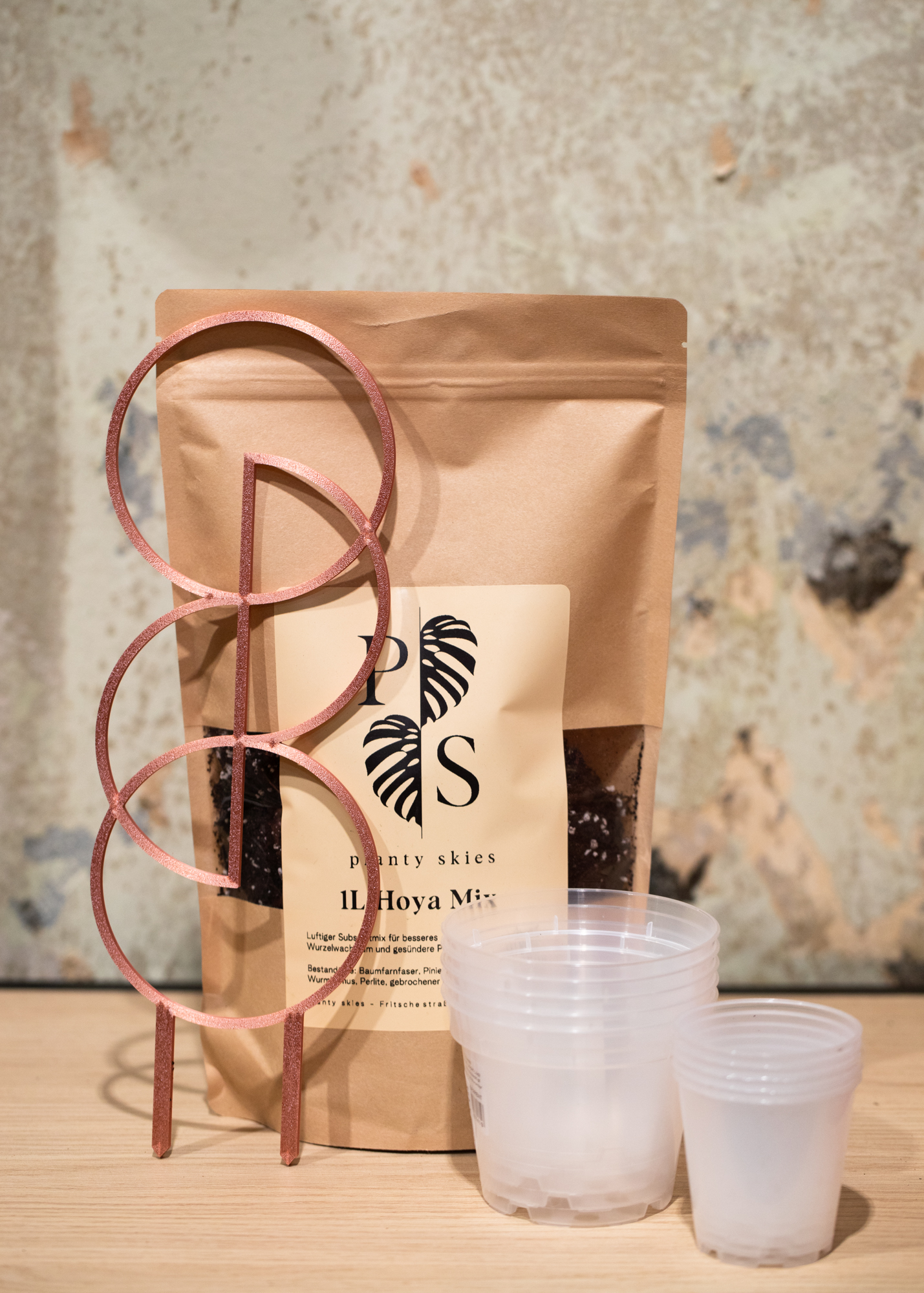 Hoya Geschenkset S