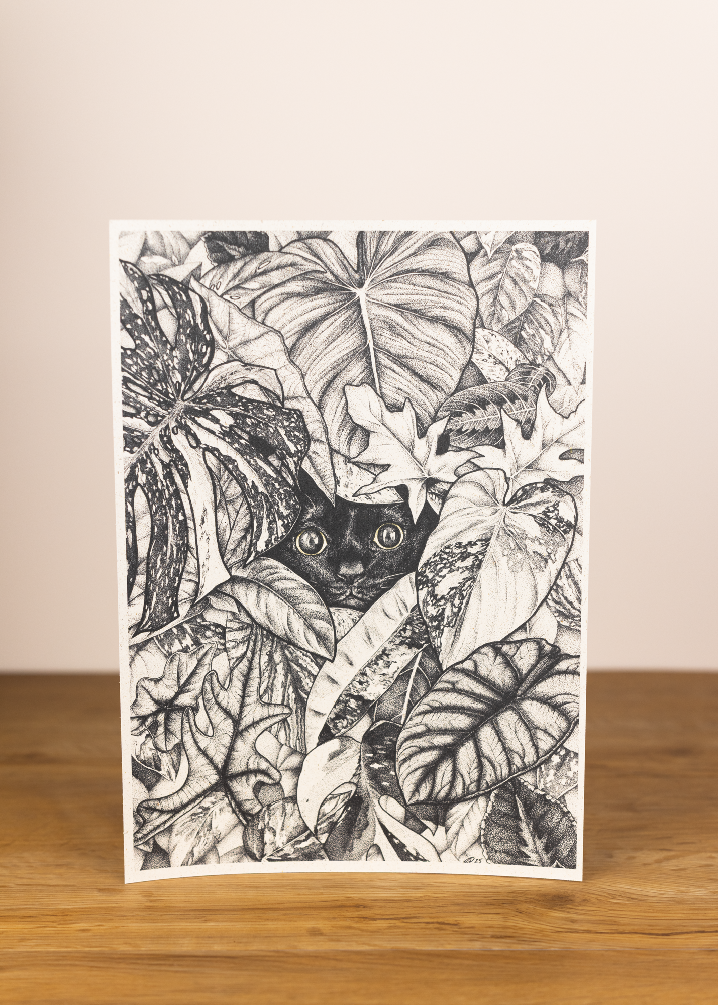 Botanische Illustration - Stalker cat A4