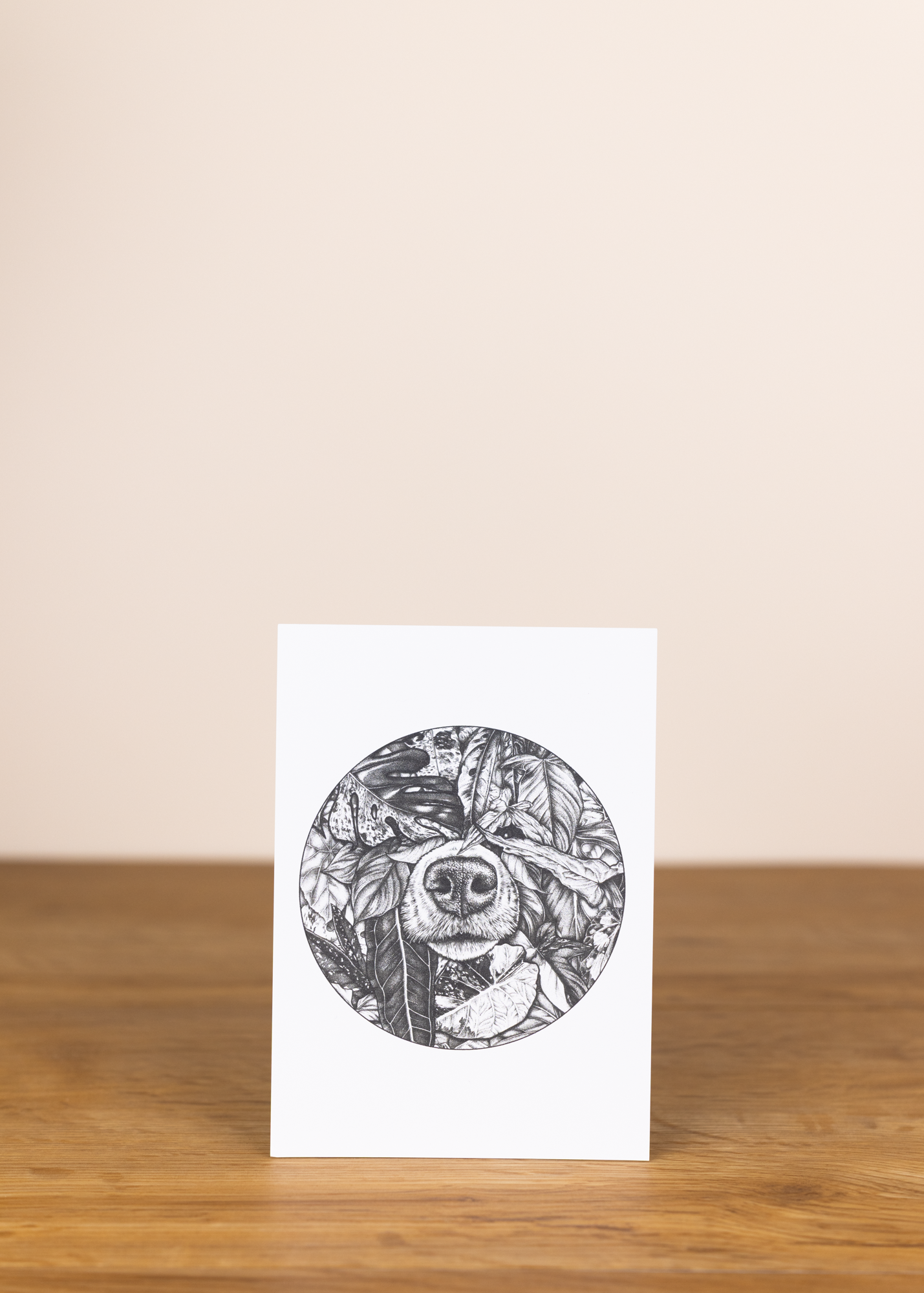 Postkarte curious dog