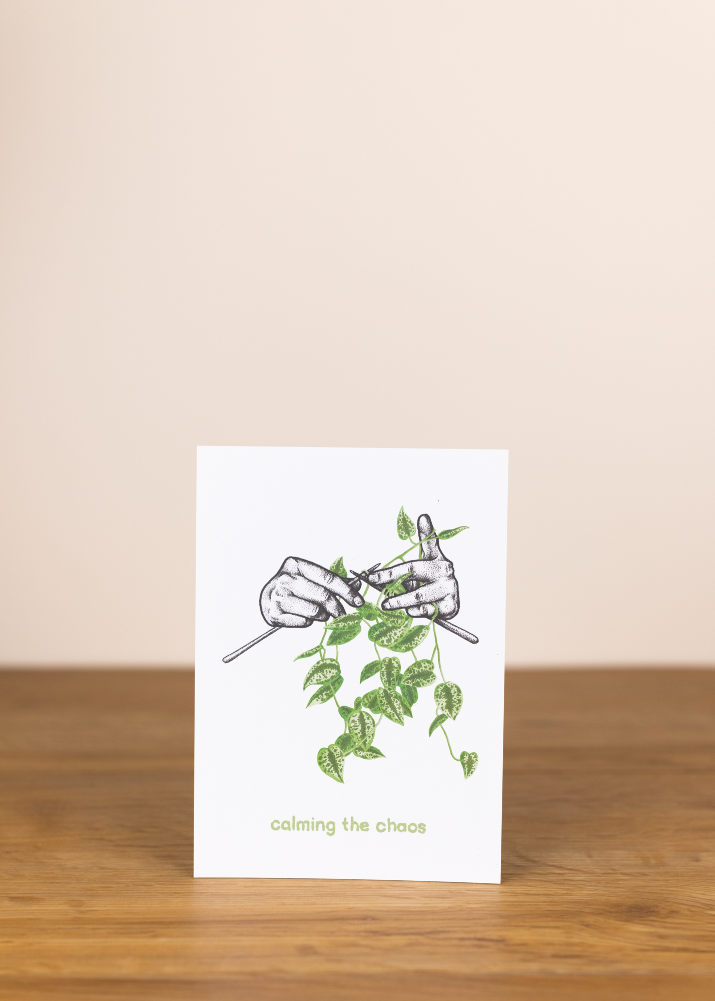 Postkarte calming the chaos stricken